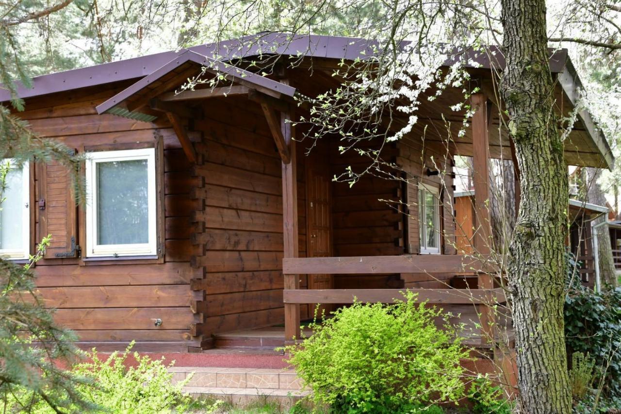 Sosnowy Domek Serpelice Exterior foto
