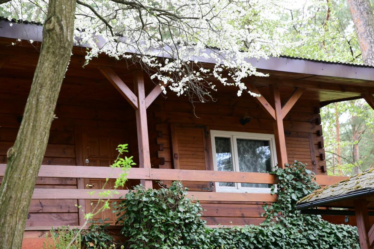 Sosnowy Domek Serpelice Exterior foto